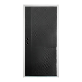 Contemporary Brush Finished Fiberglass Entry Door with Brickmould