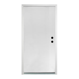Contemporary Brush Finished Fiberglass Entry Door with Brickmould