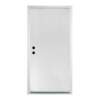 Contemporary Brush Finished Fiberglass Entry Door with Brickmould